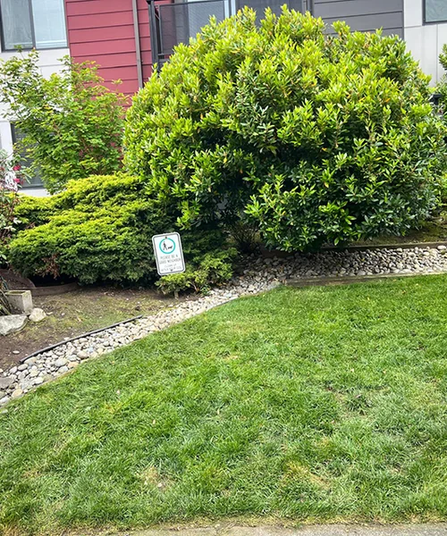 Landscape Maintenance in Kent 